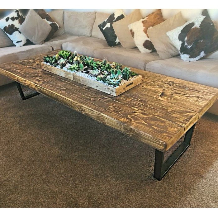 Coffee table decor rustic