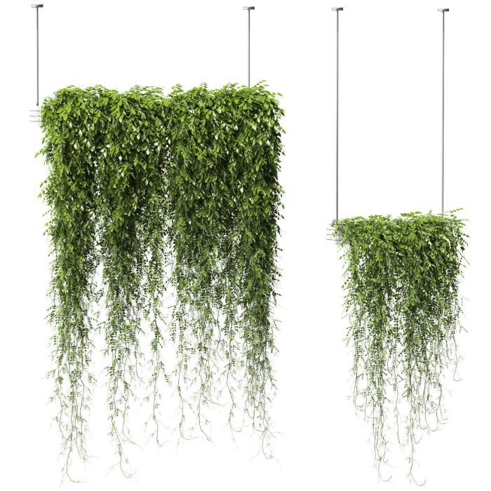 Hanging plant wall decor