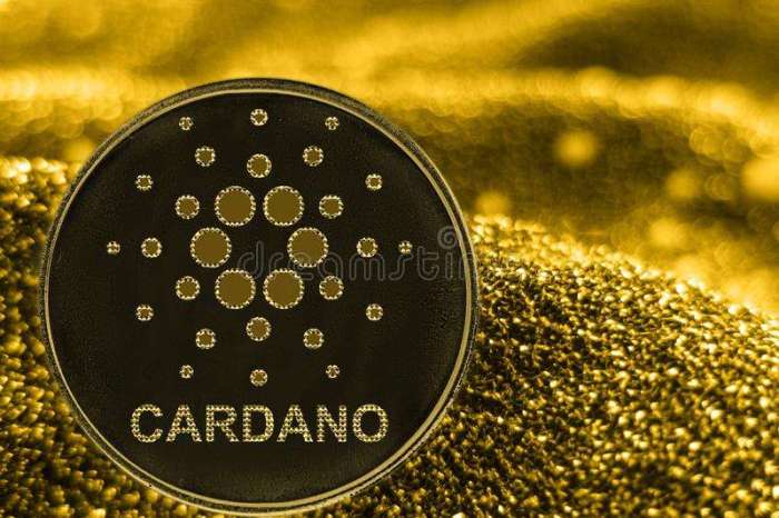 Cardano stock price