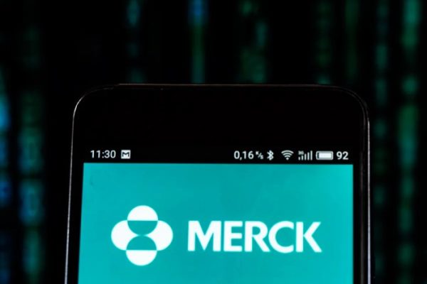 Stock price merck