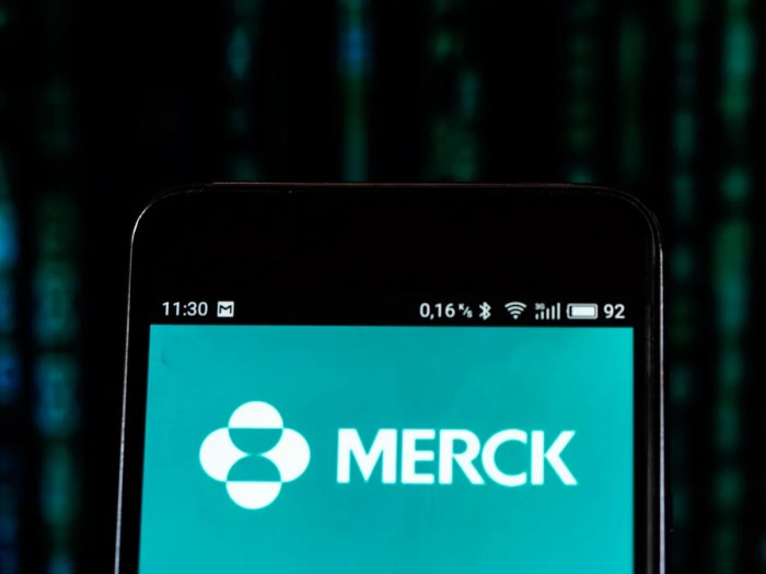 Stock price merck