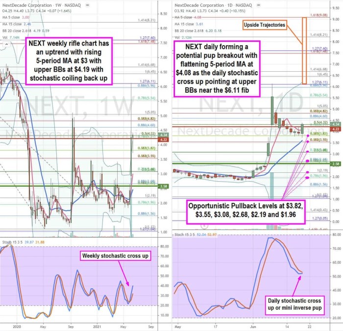 Nextenergy stock price