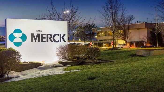 Stock price merck