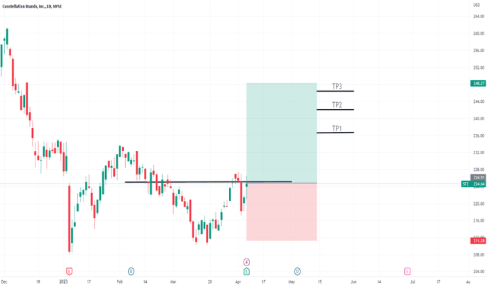 Price of stz stock